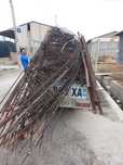 4000 som. Metallom olamiz metalom metallolom