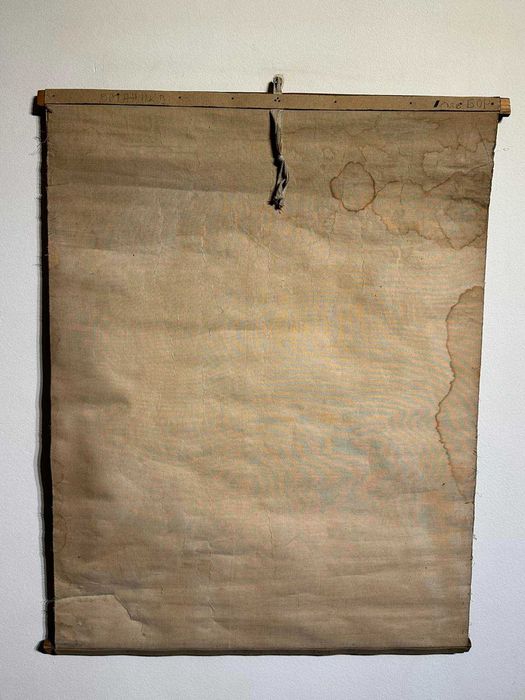 Соц Учебни Плакати Постери Ботаника