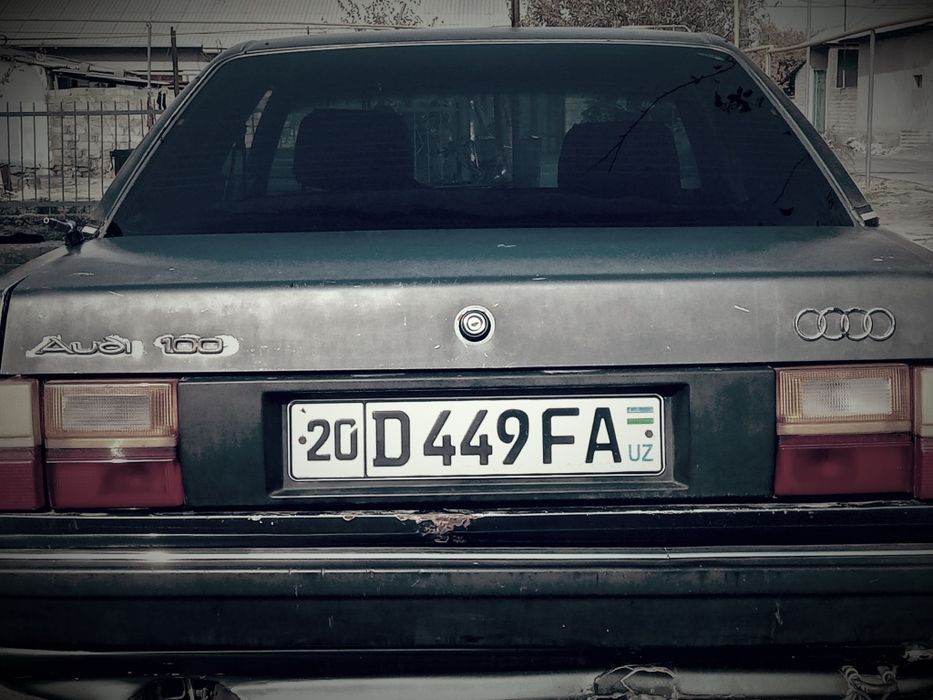Audi 100 na xadu