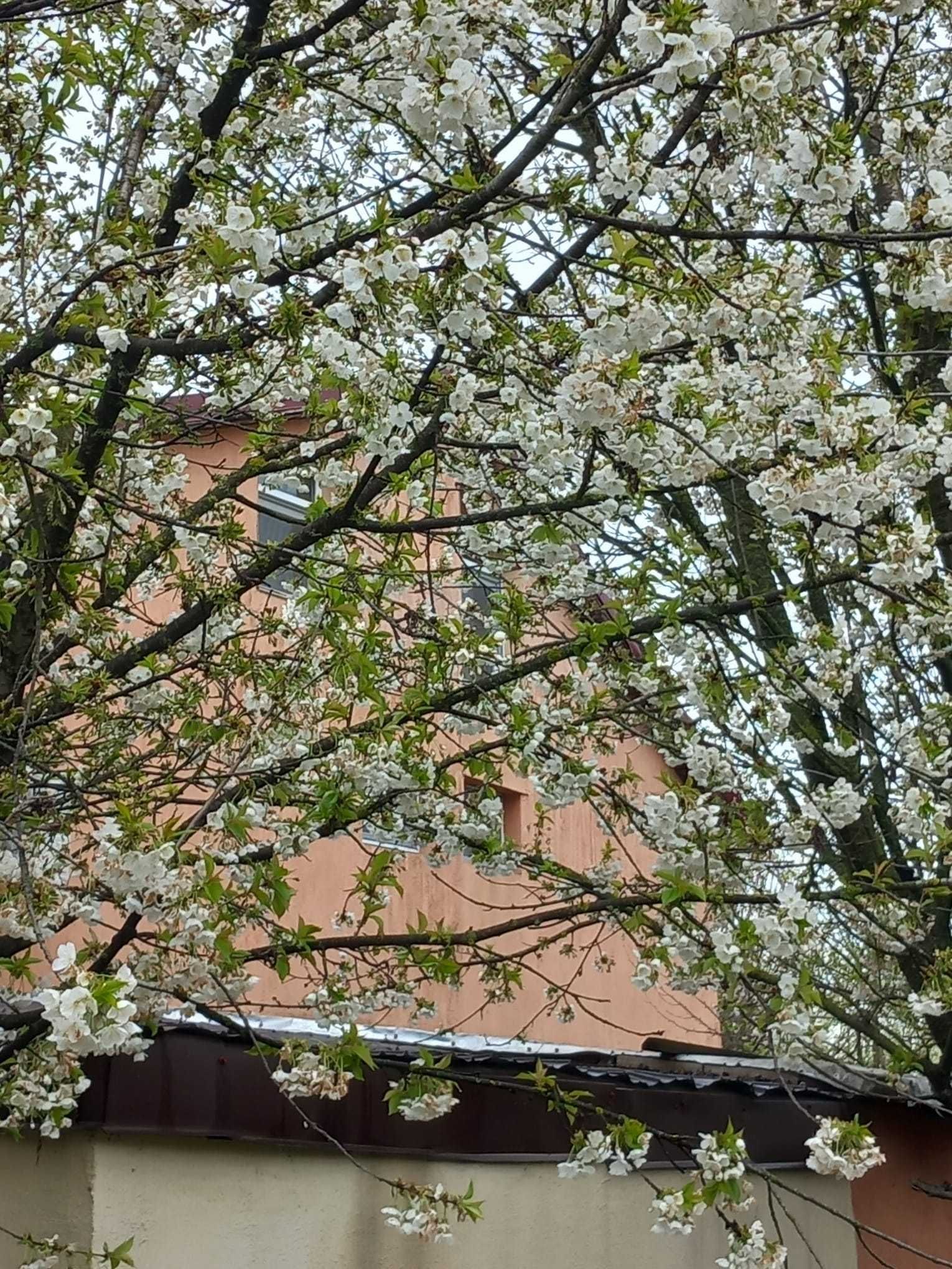 Casa 5 camere,S+P+E -Movilita -zona linistita langa lac,40km Bucuresti