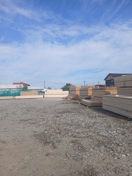 Cherestea Stuparei Valcea