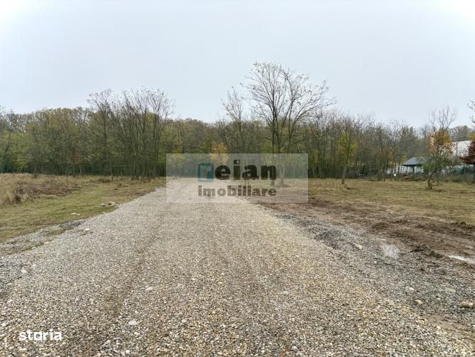 Snagov Ciofliceni - Teren 716 mp, d 30 m, gaz, curent, asfalt, padure
