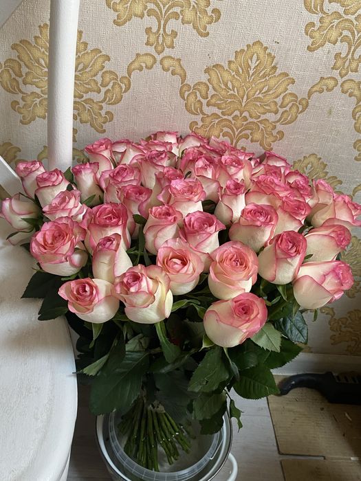 51 роза новые почти цена 10к