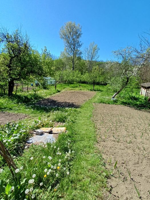 De vânzare casă si teren Pănătău