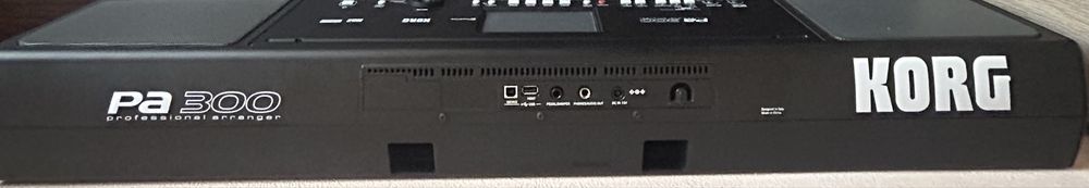 Orga korg pa300.