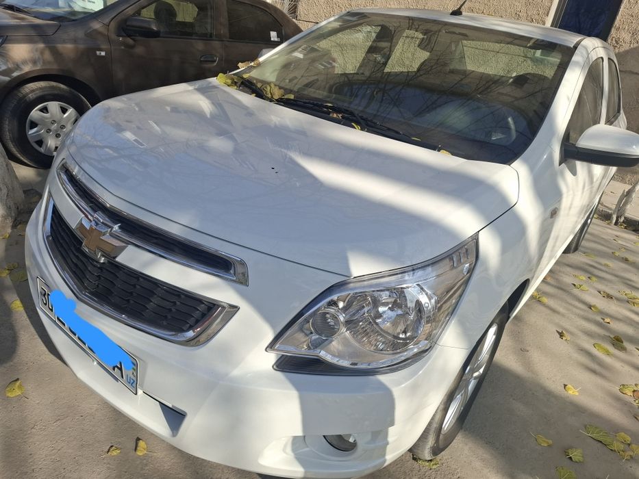 Продам кобиль 2022 викубга бераман