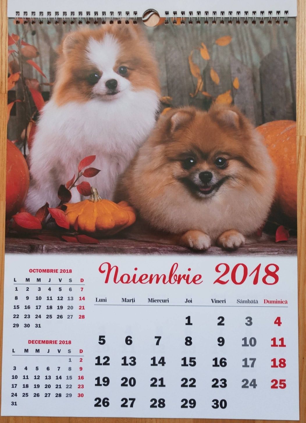 Calendar cu cățeluși -2018- Nou nefolosit; pt.colectionari.