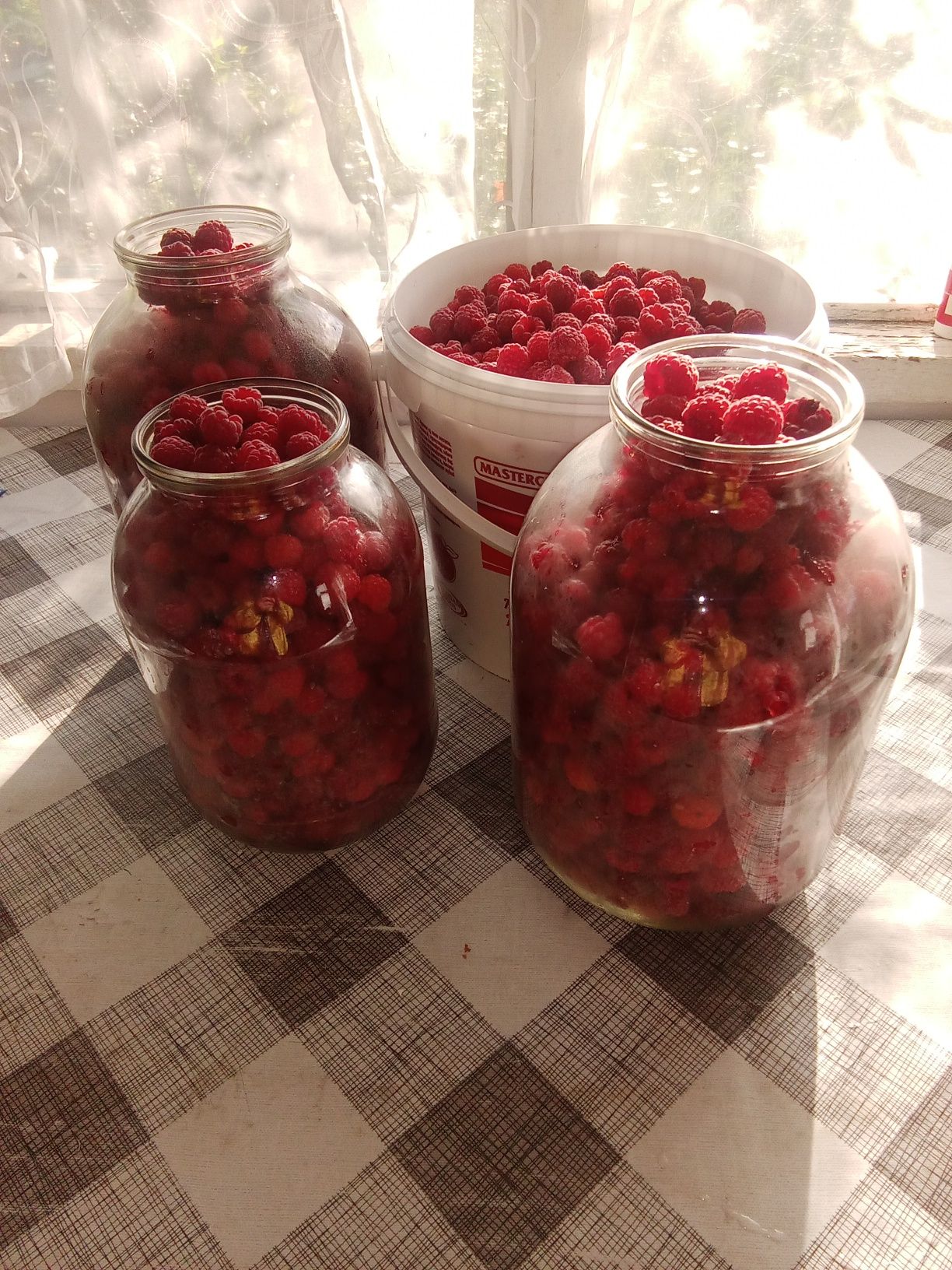 Продам малину крупную,дачную