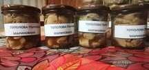 Маринована Гъба  Кладница и Маринована Тополова Пънчушка
