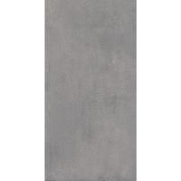 Gresie exterior Concrete Grey Mat 60x120