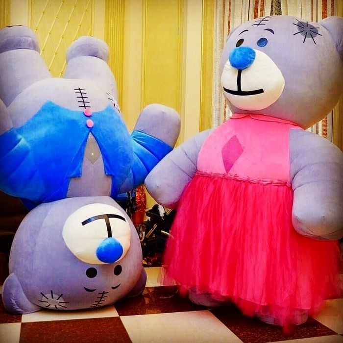 Аниматоры и шоу программы