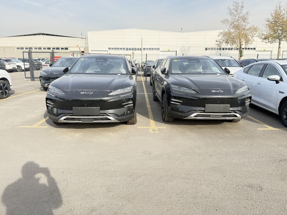 Sea Lion 06. Tashkent da Nd 40. Klent nomiga chiqadi