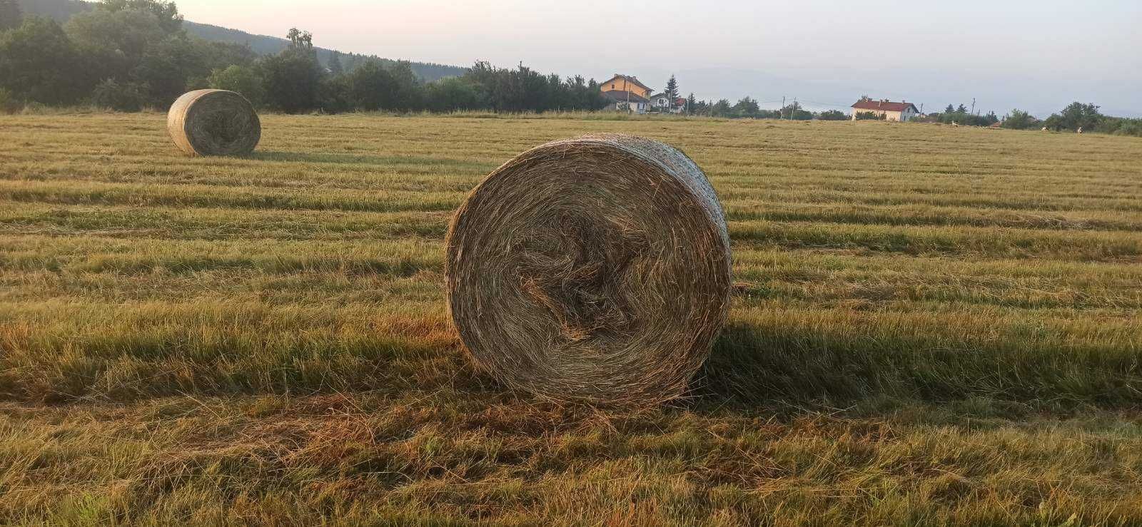 Продавам Рулонни Бали Сено, село Ковачевци (Самоковско)