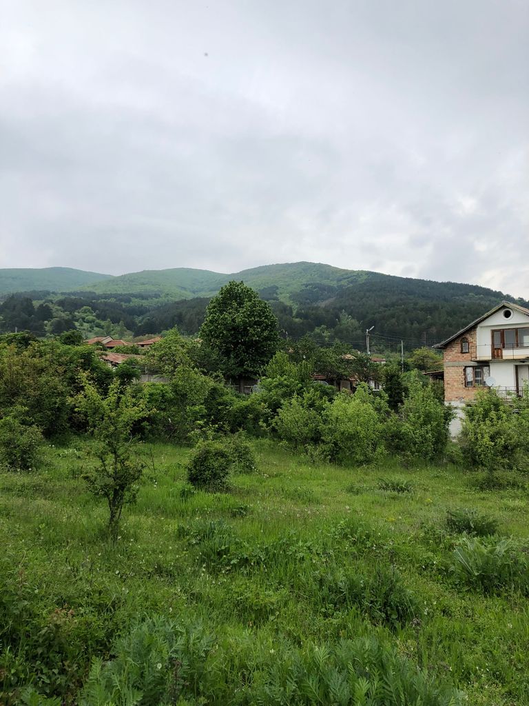 Продава се Парцел в с. Скобелево, Област Стара Загора - 2500 кв.м за 8 €/кв.м - Снимка #2