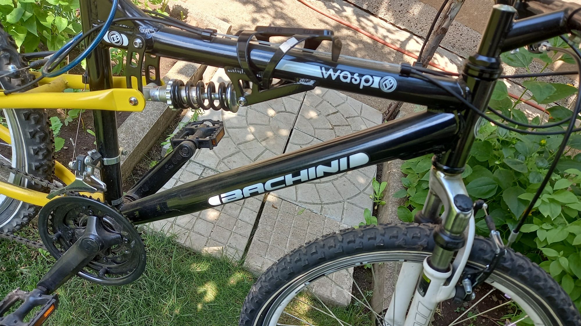 SPRINT Bachini Wasp 24