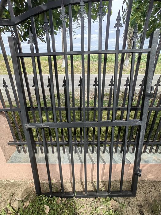 Poarta de Fier 100x170