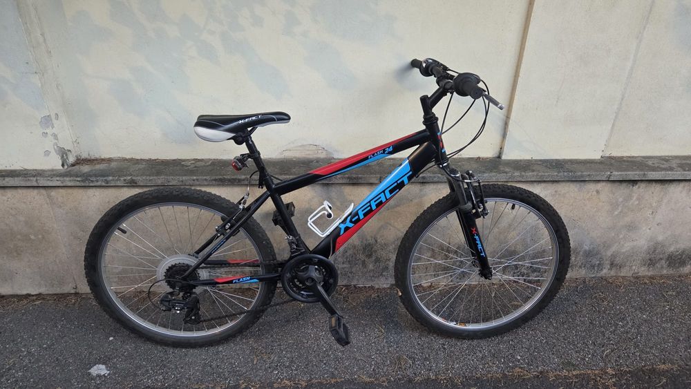 Biciclete de familie