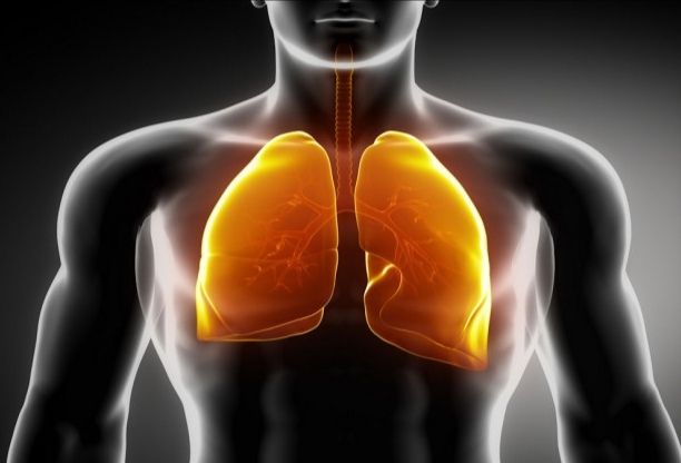 Alpha 12 Tetraoxigen Curăță plămâni de nicotină și Creștere Musculară