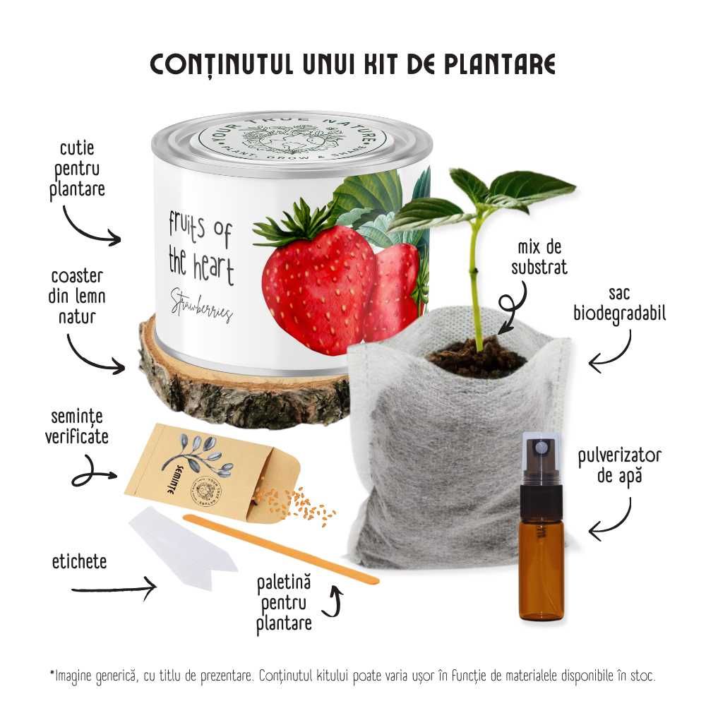 Kituri de plantare premium personalizate