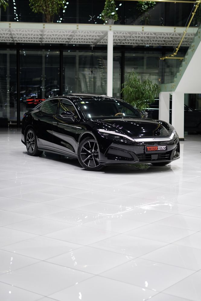 BYD Han L Natarusga tayor 100%