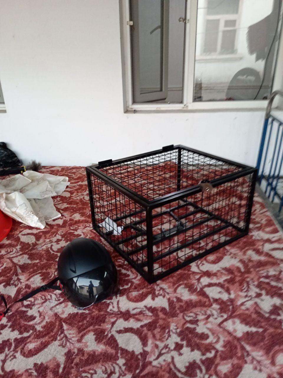 Продаётся мапед jeiran