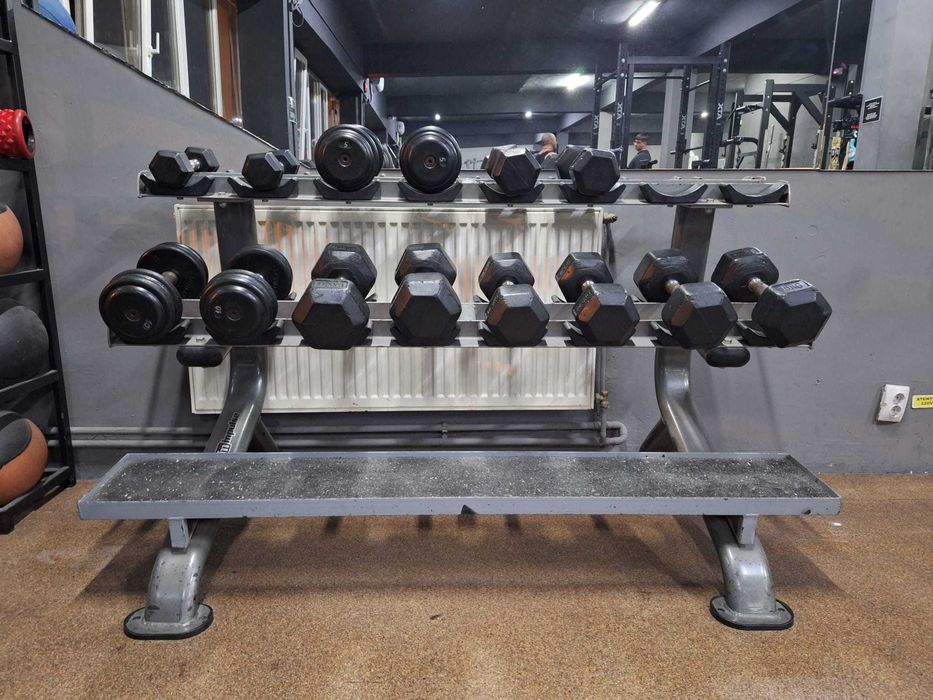 Rastel cu set gantere 2,5-17,5 kg