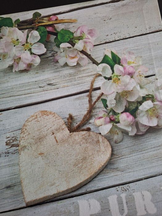 Cani si tablouri pt casa