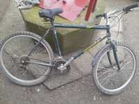 Bicicleta Pinevood x30