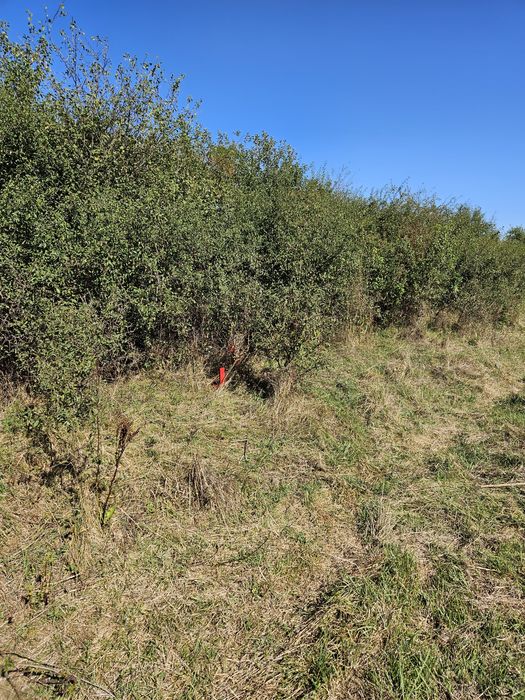 Vand TEREN - Crețeștii de Sus, jud. Huși, Vaslui