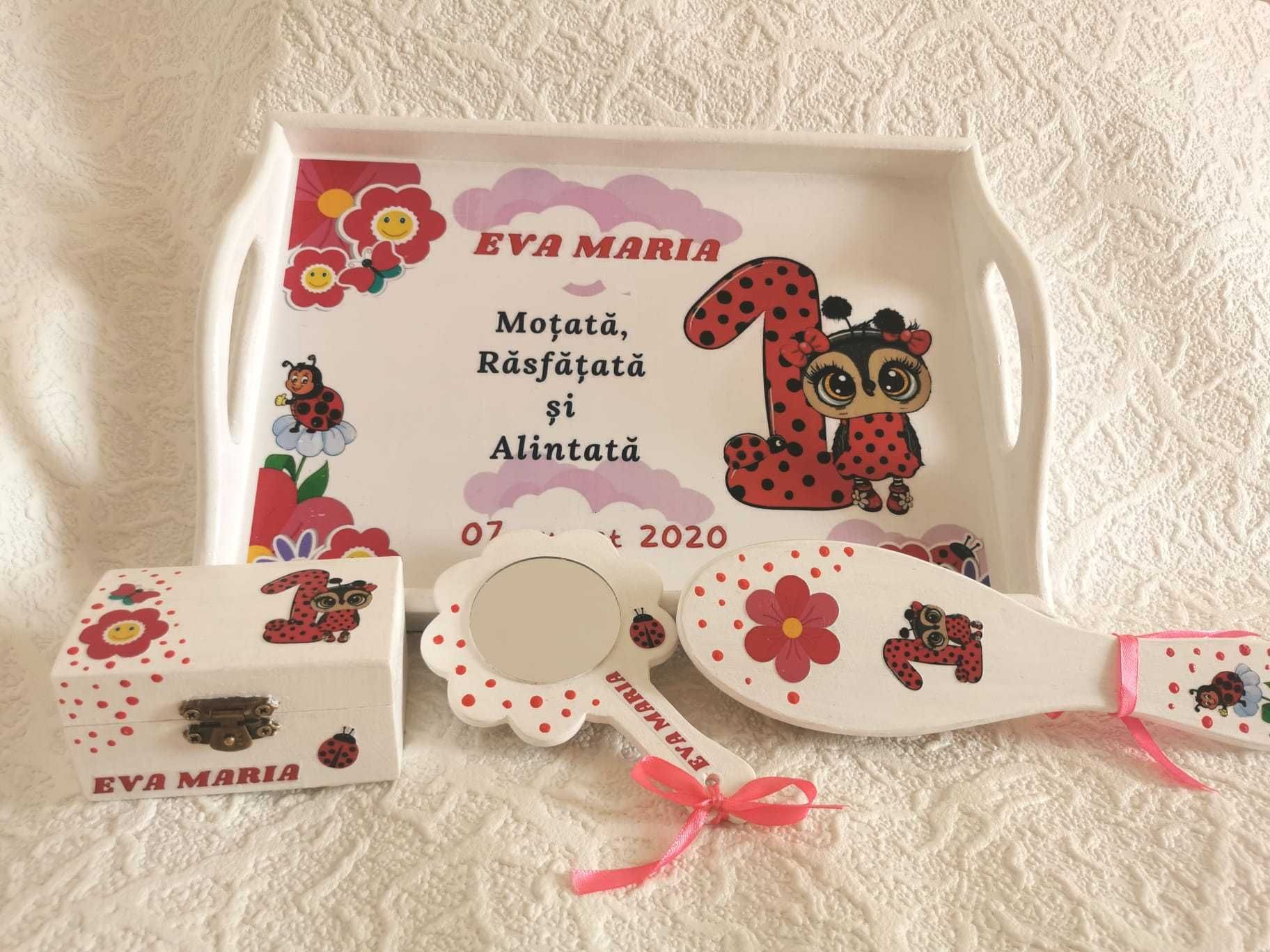 Set complet tavita taiere mot (5 piese) la 1 anisor