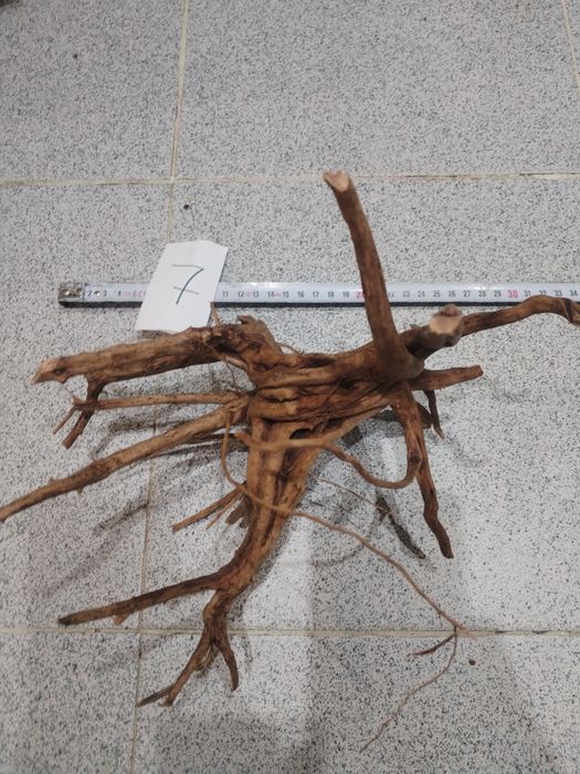 Специализирани аквариумни лампи и корени от азалия