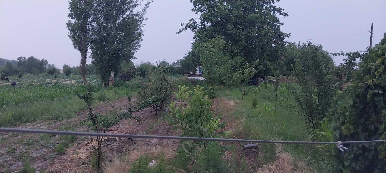 24 sotik quruq yer sotiladi