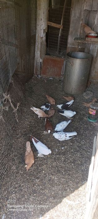 Продам договаримся