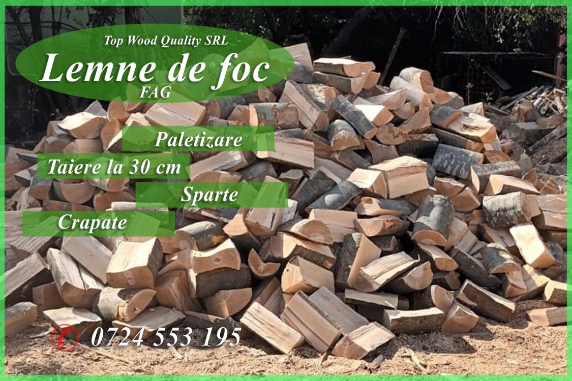 Lemne de foc taiate 30cm sparte fag constanta