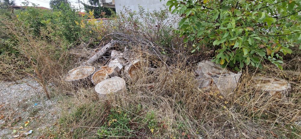 Безплатно/ Дърва за огрев различни видове,нарязани.