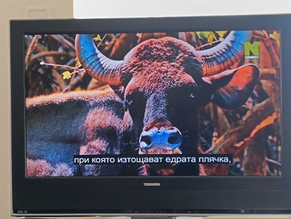 Телевизор Toshiba 32wl66z  32"