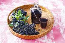 Aronia in ghiveci Afin Dud negru Vita de vie Castan Smochin Lamai Alun
