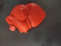 Сердце из пластика напечатаное на 3д приниере