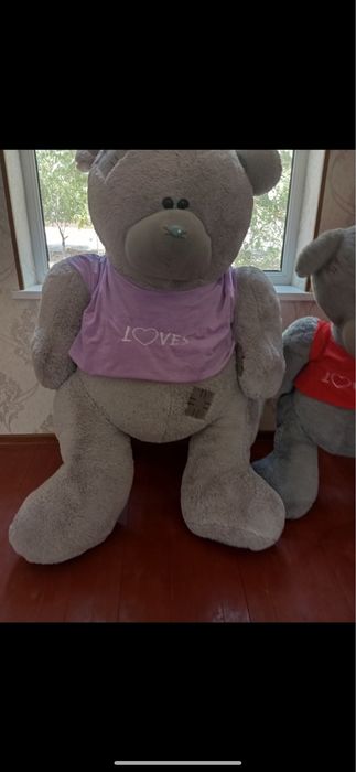 Tedyy orginali 2metr 600ming sotiladi