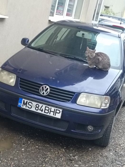Vw polo pentru PROGRAMUL RABLA
