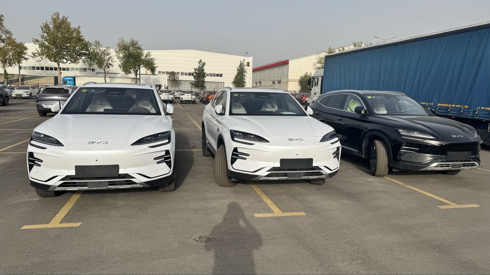 Byd champion masla salondan uyga oqidan qorasidan bor nalichi