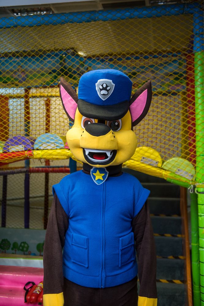 CHASE ! Mascote profesionale pentru petreceri!