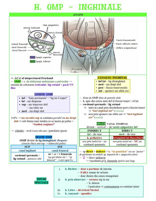 Scheme rezidențiat 2025
