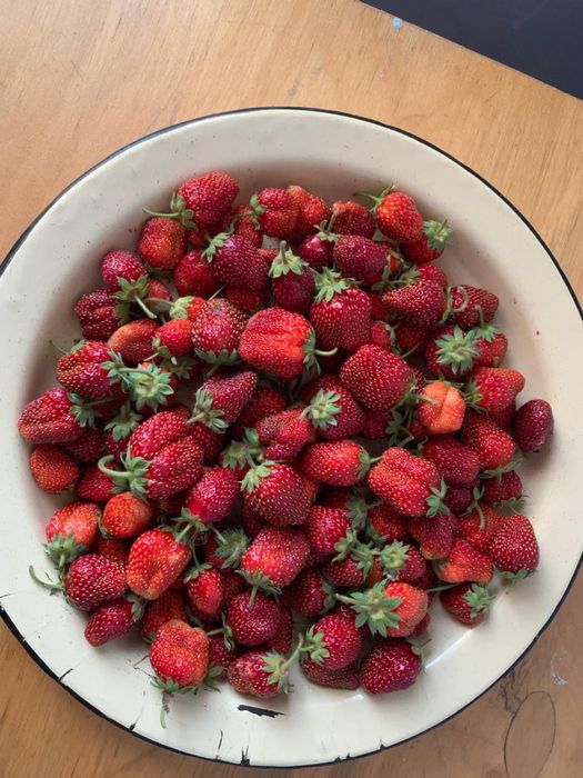 Продам свежая клубника