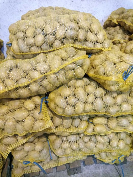 Картофи за консумация Сорая