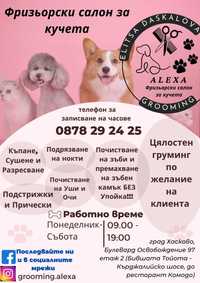 Grooming salon Alexa by Elitsa Daskalova - груминг салон град Хасково