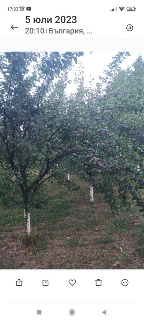 Къща с овощна градина с.Асеновци