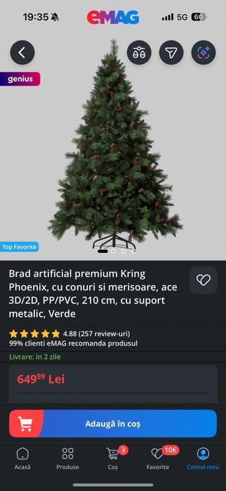 Vand brad Craciun 2 modele