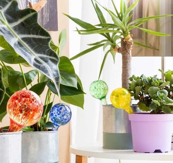 Set 4 Globuri de udare automata pentru plante de apartament