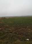 Teren intravilan 10.879 mp – Bâcu, Joița